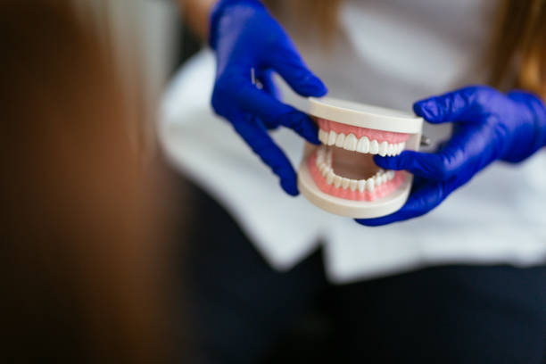 Best Cosmetic Dentistry  in Kingwood, WV